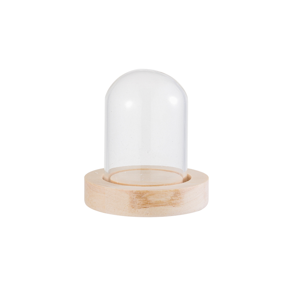 Fairy Lights Home Decor Terrar - đánh giá và giá Vase Decor